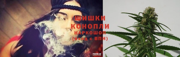 PSILOCYBIN Михайловка