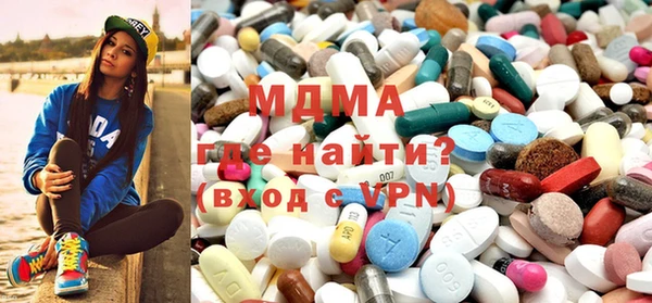 молекула духа Богданович